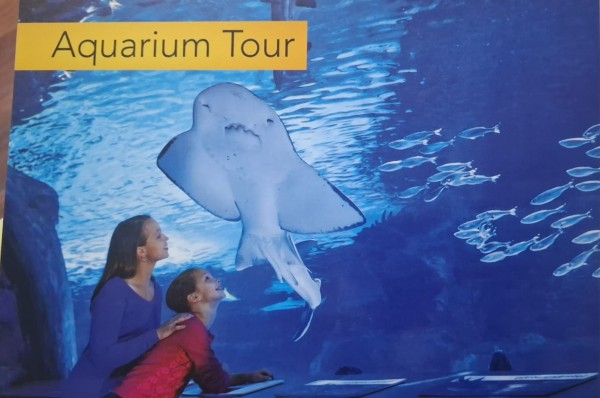 Antalya Aquarium Tour